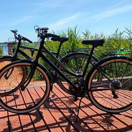 Dutch House In Azy Near Jamno 別荘 Łazy